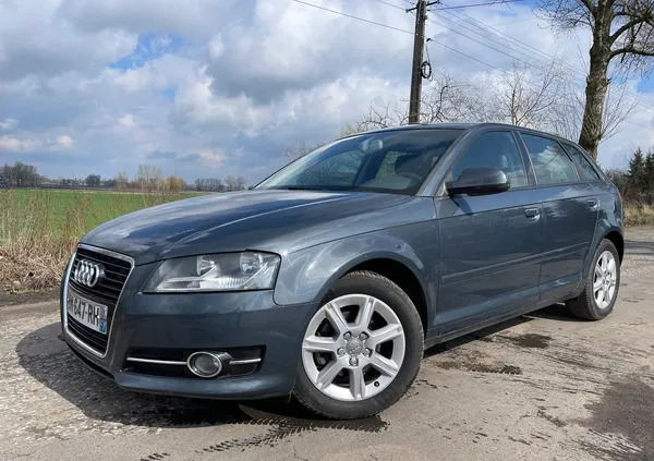 chojnów Audi A3 cena 21900 przebieg: 248000, rok produkcji 2011 z Chojnów